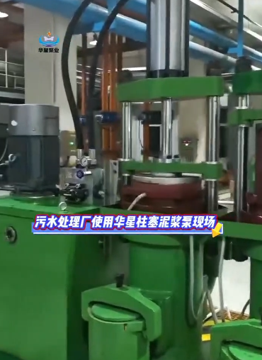 污水處理廠使用華星柱塞泥漿泵現場